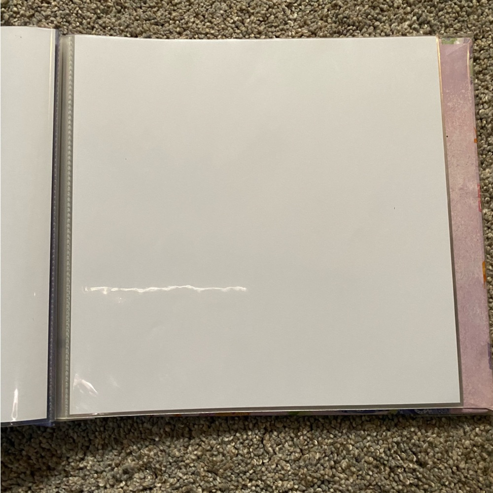 Butterfly 🦋 Photo Album - Picture 2 of 2